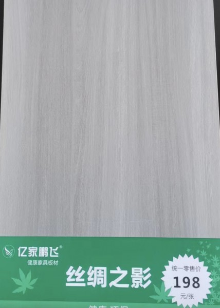 煙臺(tái)絲綢之鷹